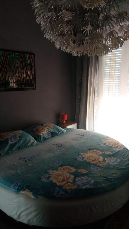 B&B Il Pisolo Άλμπα Εξωτερικό φωτογραφία